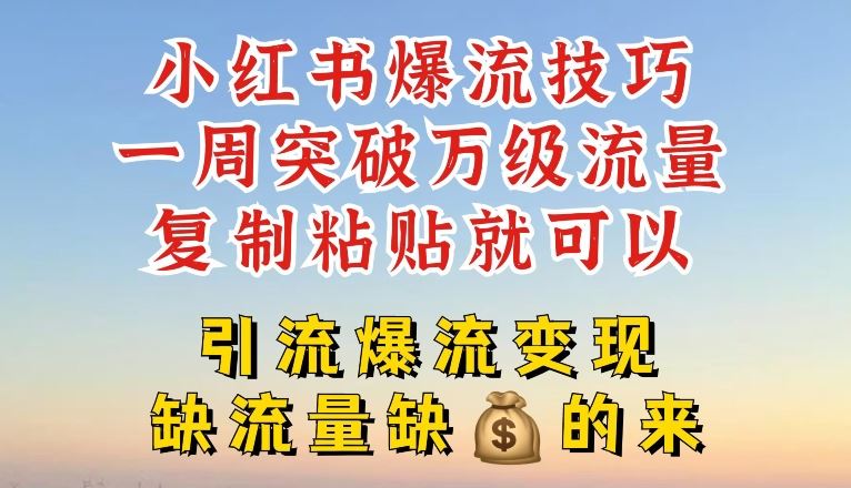 小红书爆流技巧，一周突破万级流量，复制粘贴就可以，引流爆流变现【揭秘】-798资源站