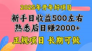 2025开年好项目，单号日收益2000+-798资源站
