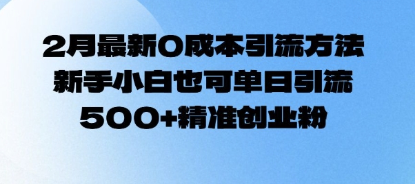 2月最新0成本引流方法，新手小白也可单日引流500+精准创业粉-798资源站