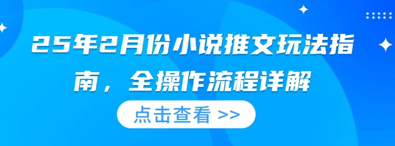 25年2月份小说推文玩法指南，全操作流程详解-798资源站