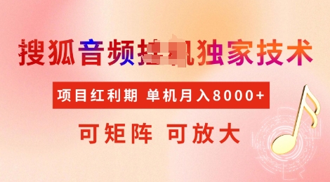 全网首发搜狐音频挂JI独家技术，项目红利期，可矩阵可放大，稳定月入8k【揭秘】-798资源站