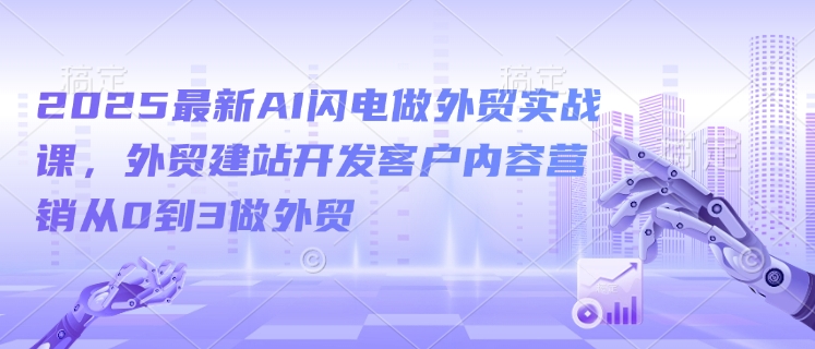 2025最新AI闪电做外贸实战课，外贸建站开发客户内容营销从0到3做外贸-798资源站