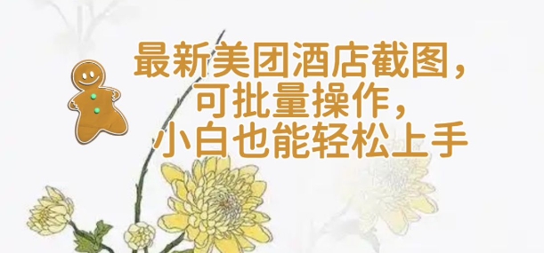 【轻云】最新美团酒店截图，可批量操作，小白也能轻松上手-798资源站