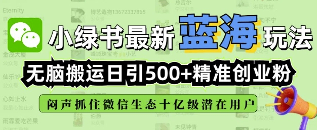 小绿书无脑搬运引流，全自动日引500精准创业粉，微信生态内又一个闷声发财的机会-798资源站