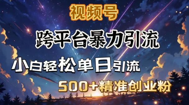 跨平台暴力引流，私域完美闭环，日引500+精准创业粉-798资源站