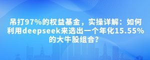 付费文章:吊打97%的权益基金,实操详解:如何利用deepseek来选出一个年化15.55%的大牛股组合?-798资源站