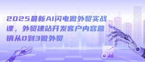 2025最新AI闪电做外贸实战课,外贸建站开发客户内容营销从0到3做外贸-798资源站