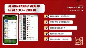 评论区野路子截流创业粉新方法，日被动加300+创业粉，精准引流被动添加…-798资源站