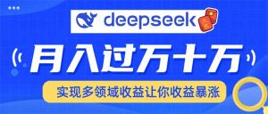 用DeepSeek席卷各大平台,快速上手实现多领域,让你收入猛增-798资源站
