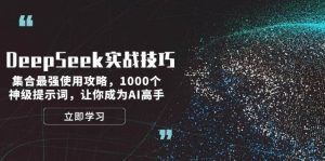 DeepSeek实战技巧:集合最强使用攻略,1000个神级提示词,让你成为AI高手-798资源站