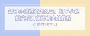 知乎小说推文怎么玩,知乎小说推文项目保姆级实战教程-798资源站