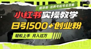 2月小红书最新日引500+创业粉实操教学【超详细】小白轻松上手，月入1W+，附小红书养号起号SOP-798资源站