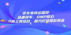 京东电商运营班：涵盖快车，DMP核心及各工具组合，助力打造爆款商品-798资源站