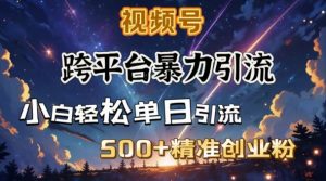 跨平台暴力引流,私域完美闭环,日引500+精准创业粉-798资源站